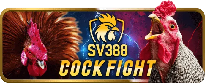 Chương trình hoàn trả VIPBET