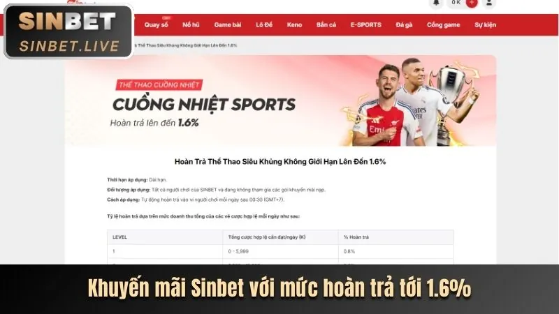 Trang tổng quan tài khoản VIPBET sau khi đăng nhập thành công